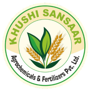 khushisansaar.com